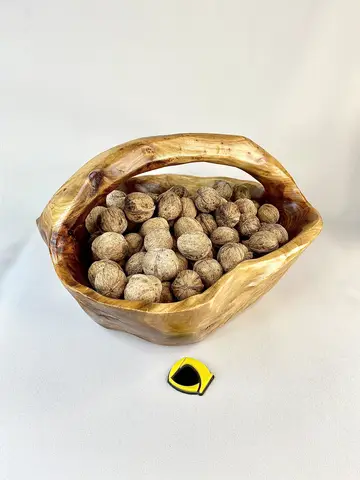 ظرف میوه خوری دفرمه بزرگ با دسته چوب عود ظرف میوه خوری دفرمه بزرگ با دسته چوب عود